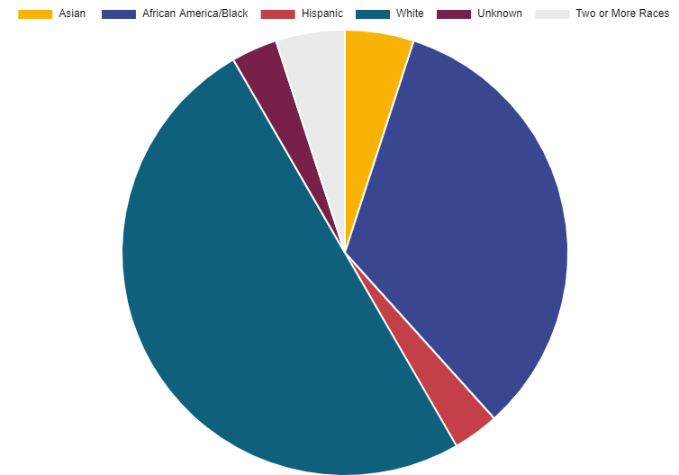 A pie chart race/ethnicity breakdown for SSC faculty.